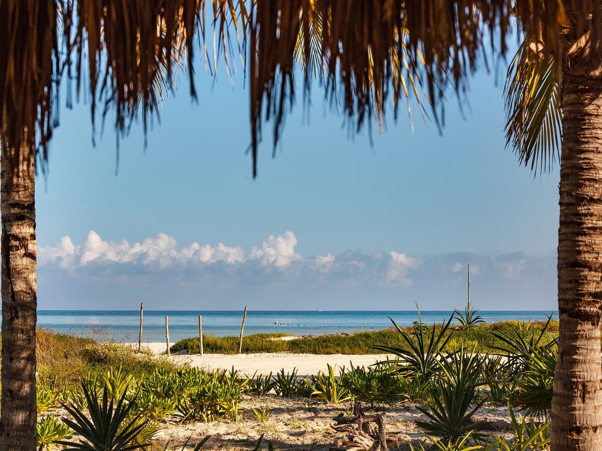 Villas Hm Palapas Del Mar Isla Holbox Εξωτερικό φωτογραφία